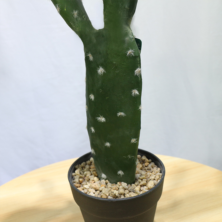 American-Home-Decor-87cm-Tufting-Flat-Cactus-Plantas-Crasas-Mini-Cactus-Plants-for-Sale (4).jpg 